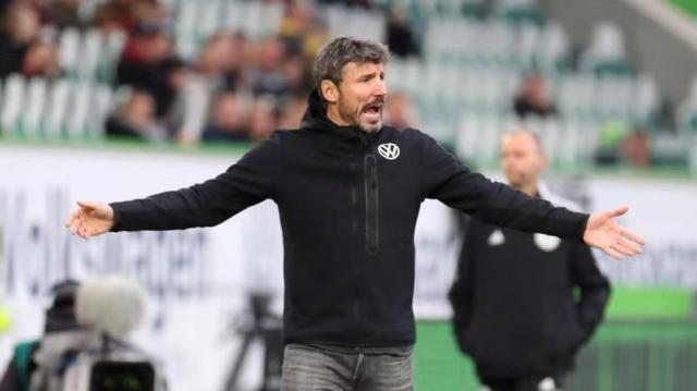 协同作战的 协同作战的