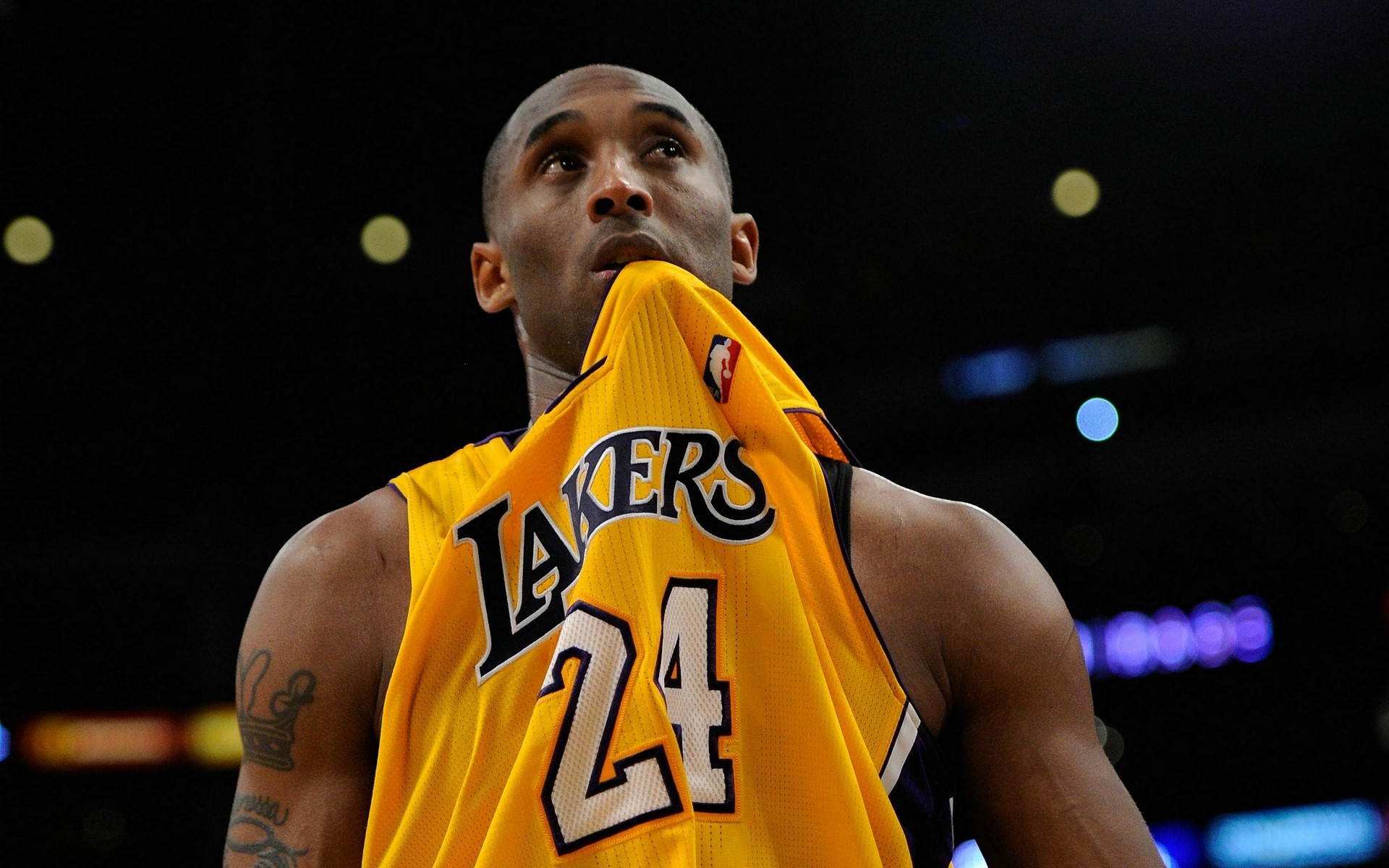 回顾与展望 回顾与展望